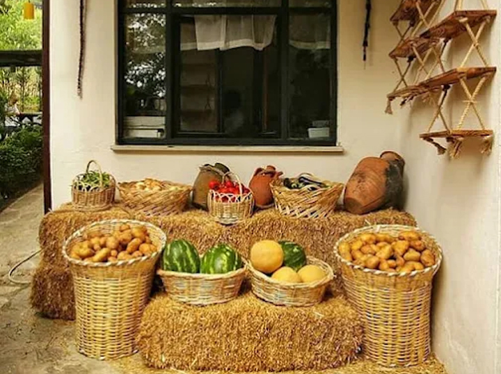 Aylanın yeri, yöresel lezzetler